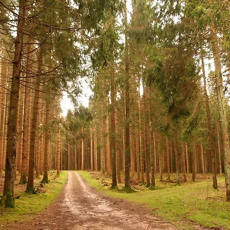 Fwv 2 Le Scandinave Prázdninový dům *