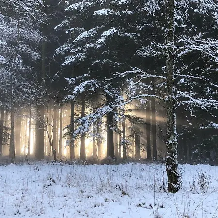 Fwv 2 Le Scandinave Dom wakacyjny *