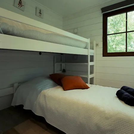 Fwv 2 Le Scandinave *