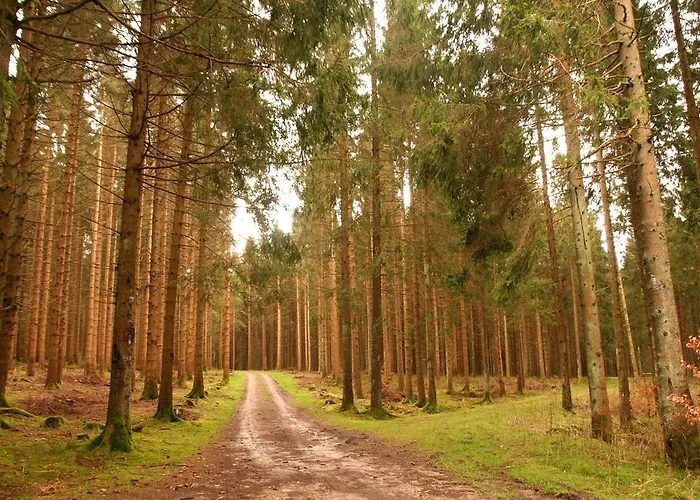 Fwv 2 Le Scandinave Nyaraló *