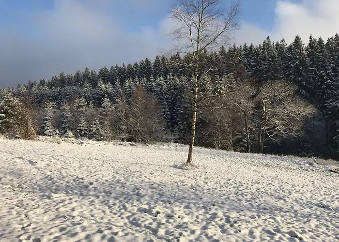 Fwv 2 Le Scandinave Nyaraló Bullange