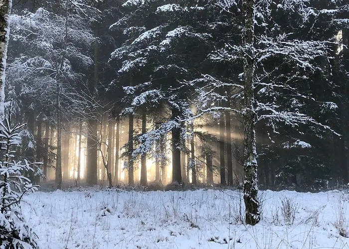 Fwv 2 Le Scandinave Nyaraló *