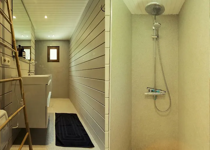 Fwv 2 Le Scandinave Bullange