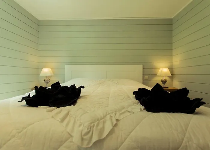 Fwv 2 Le Scandinave *