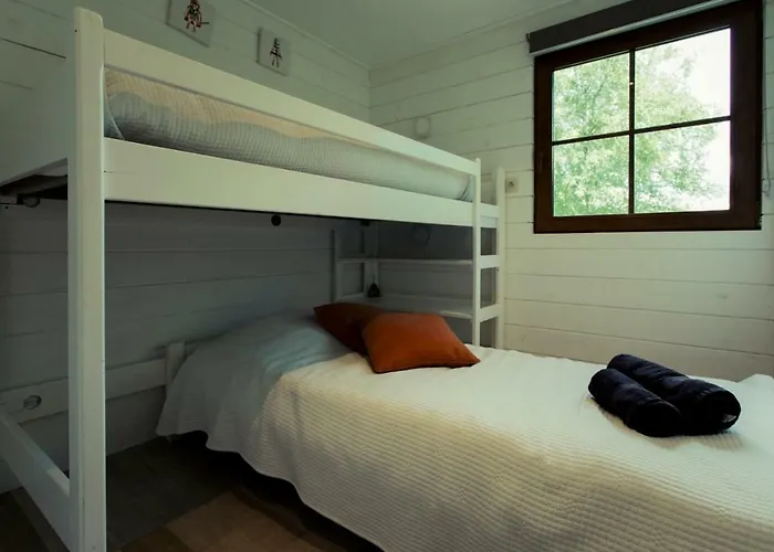 Fwv 2 Le Scandinave *